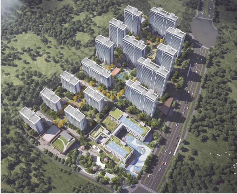 大九庐项目售楼处地址PG麻将胡了滨湖区远(图4)